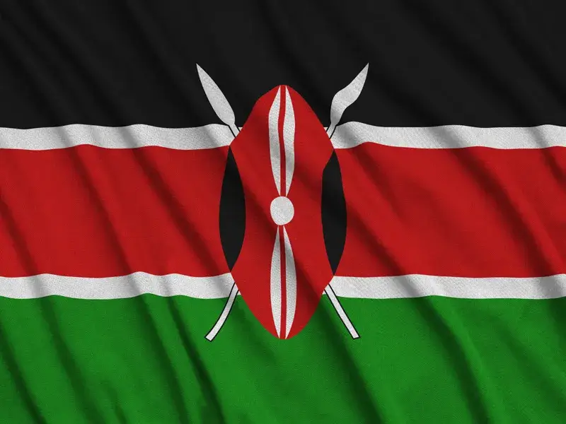 Robikings Limited - Kenyan Office